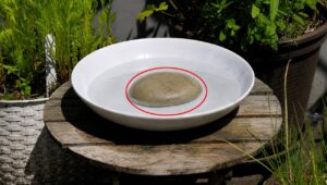 Daarom zou je een oud bord met een steen in de tuin moeten zetten